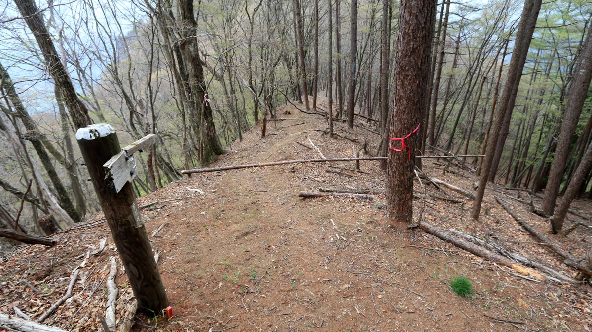 威怒牟畿不動下降点