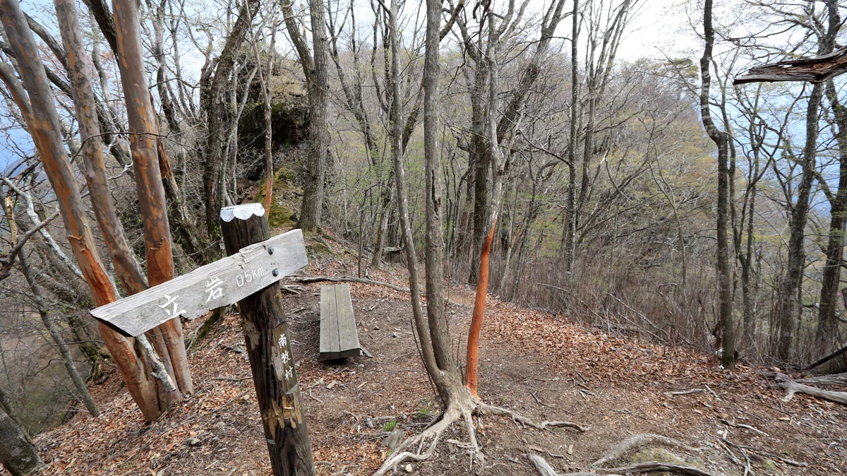 立岩のコル