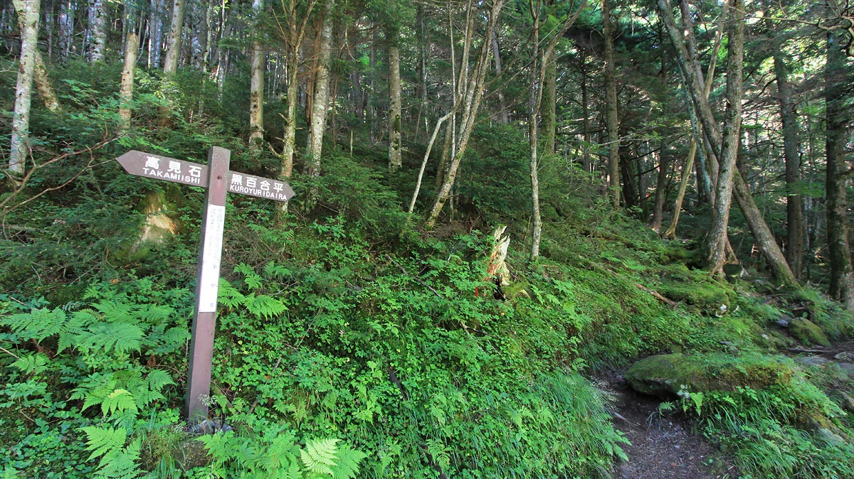 高見石との分岐地点