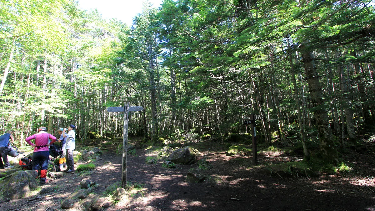 八方台との分岐地点