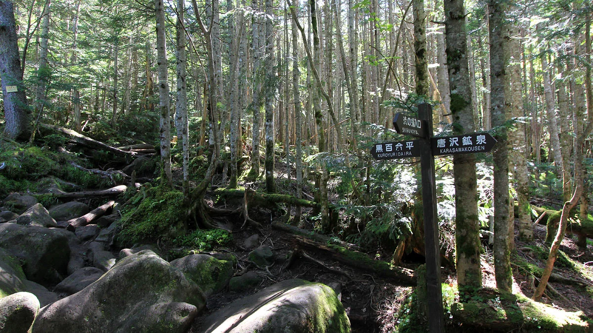 唐沢鉱泉との分岐地点