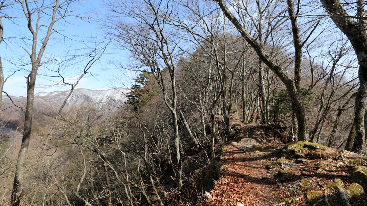 尾根上の登山道