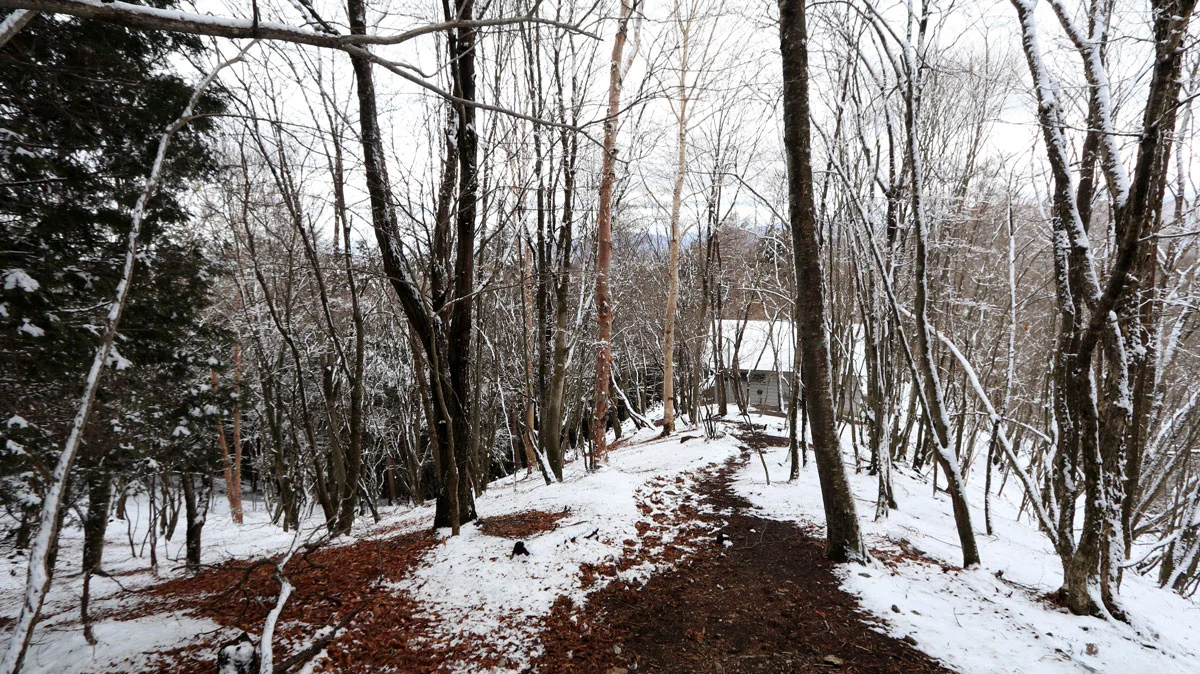 一杯水避難小屋への道