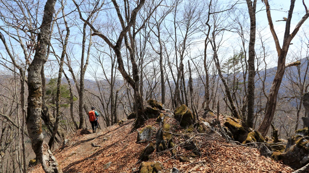 おそらくココが標高1,459mのピーク