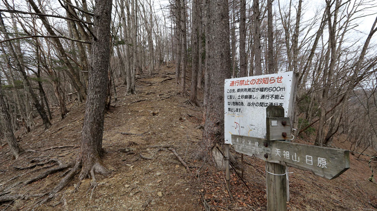 梯子坂ノクビレ