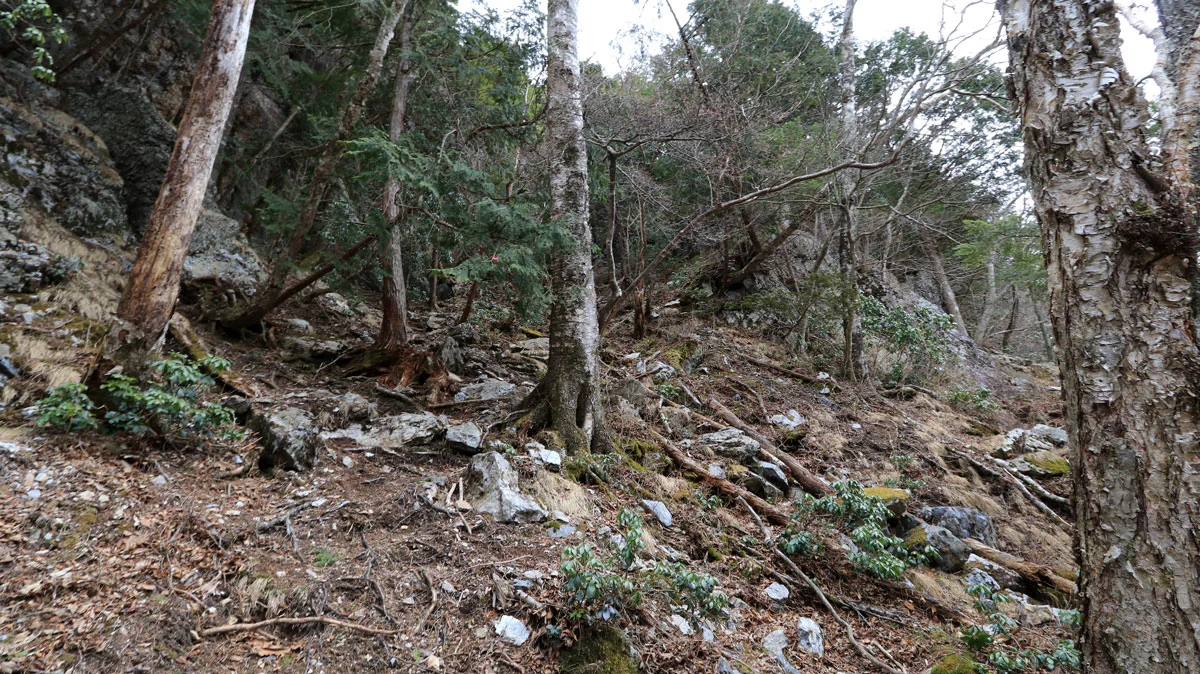 ウトウノ頭への上り道