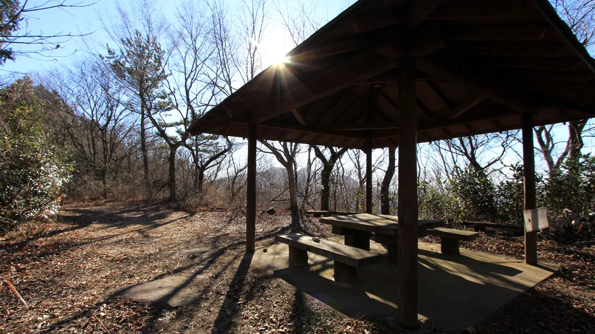 きのこ山の山頂