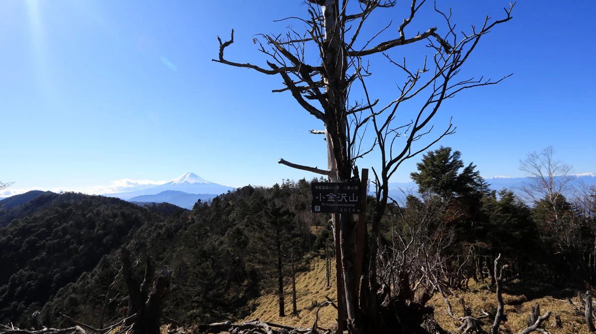 小金沢山から見た富士山