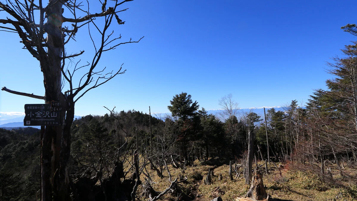 小金沢山からの南アルプスの眺望