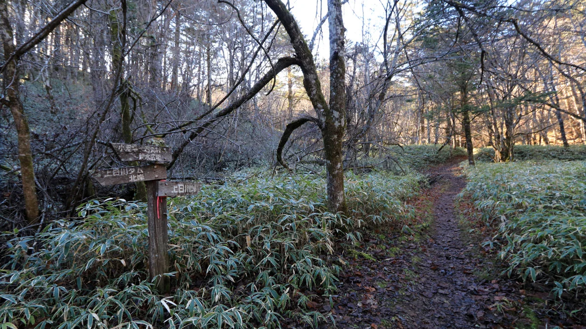 大菩薩湖へ向かう道の分岐