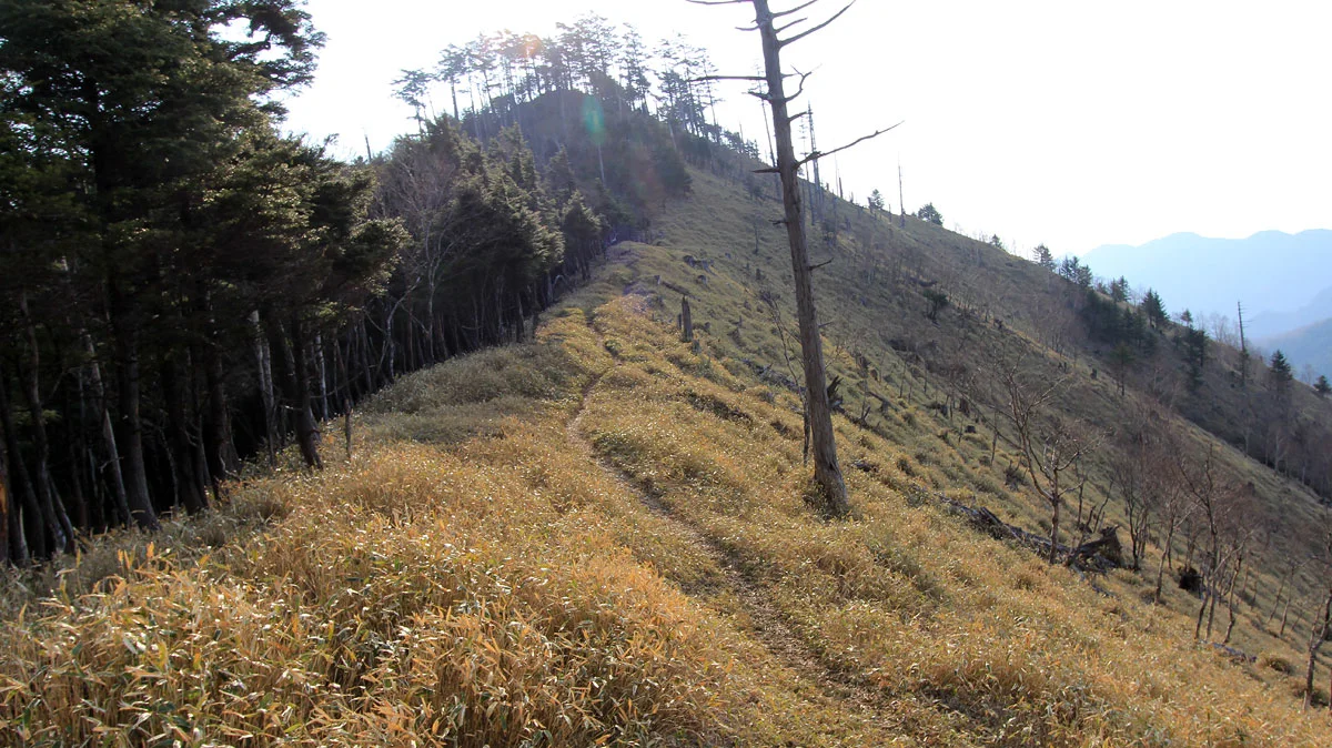 和名倉山登山道
