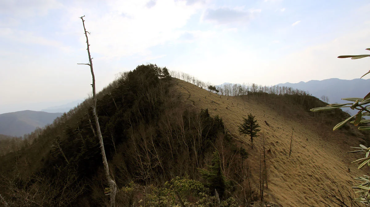 東仙波とカバアノ頭