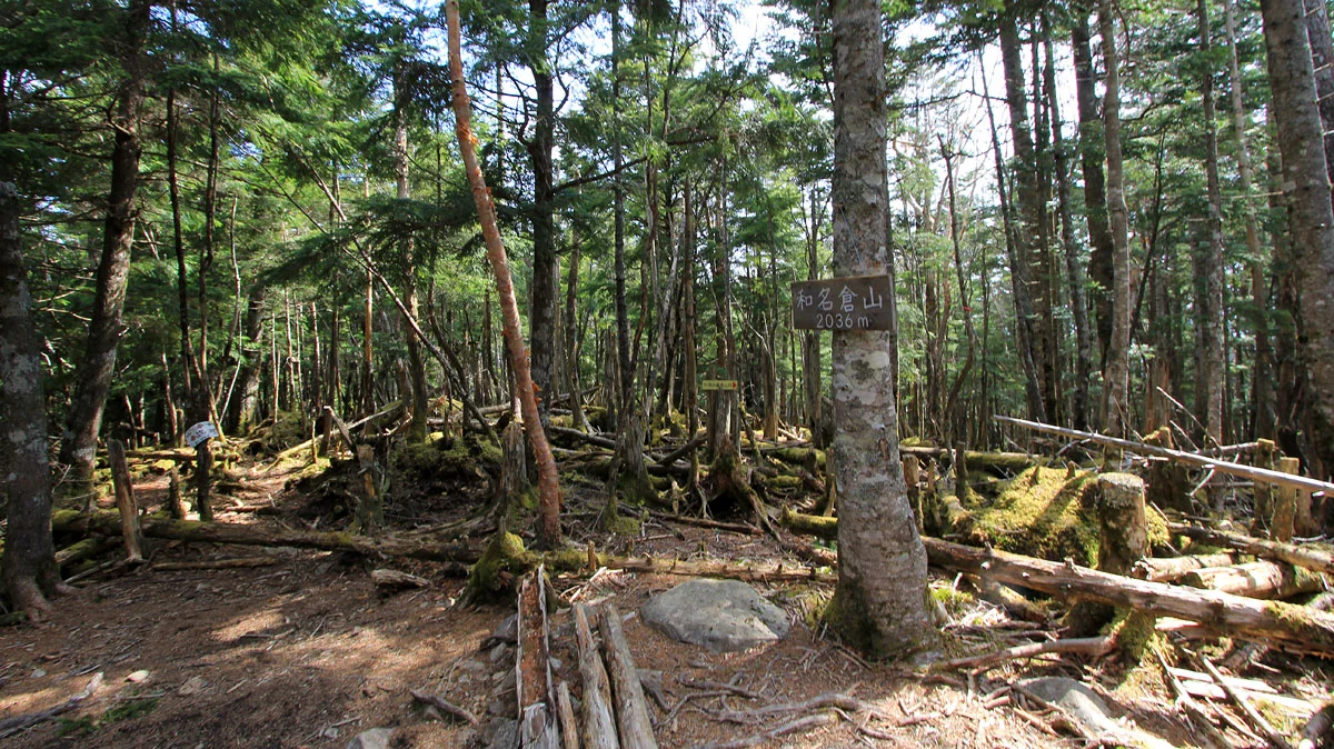 和名倉山の山頂