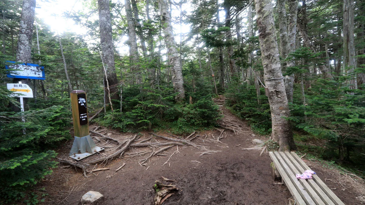 標柱のある小広場（駒鳥池分岐）