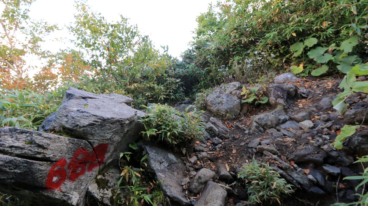 羊蹄山倶知安コース6合目