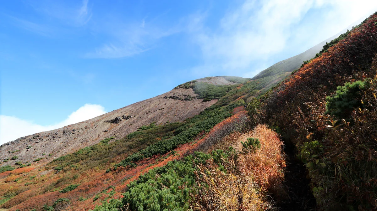 霧が晴れる登山道