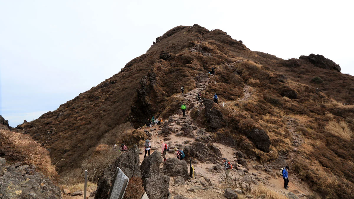 マタエからみた由布岳東峰への道